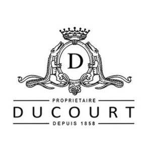 Logo 15